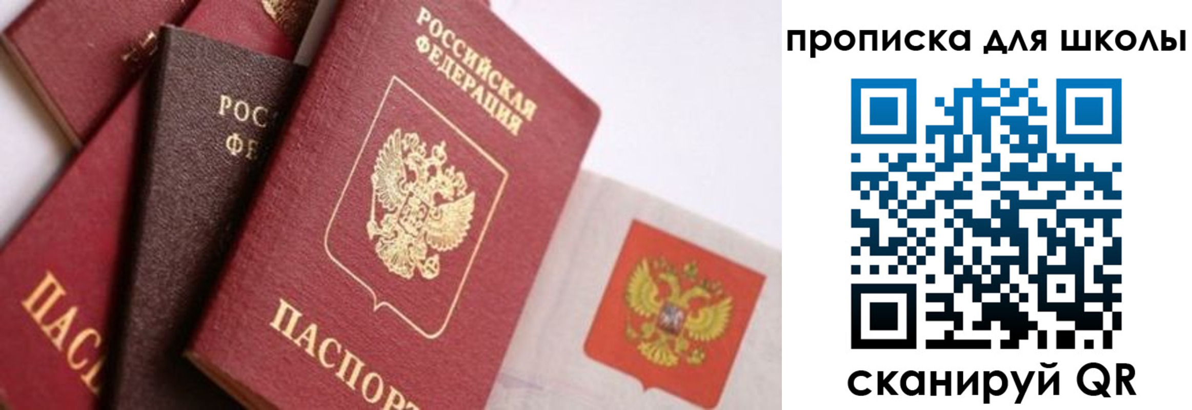 прописка поиск в Бокситогорске